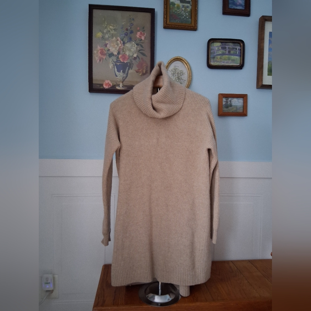 Madewell Turtleneck Sweater (Large)